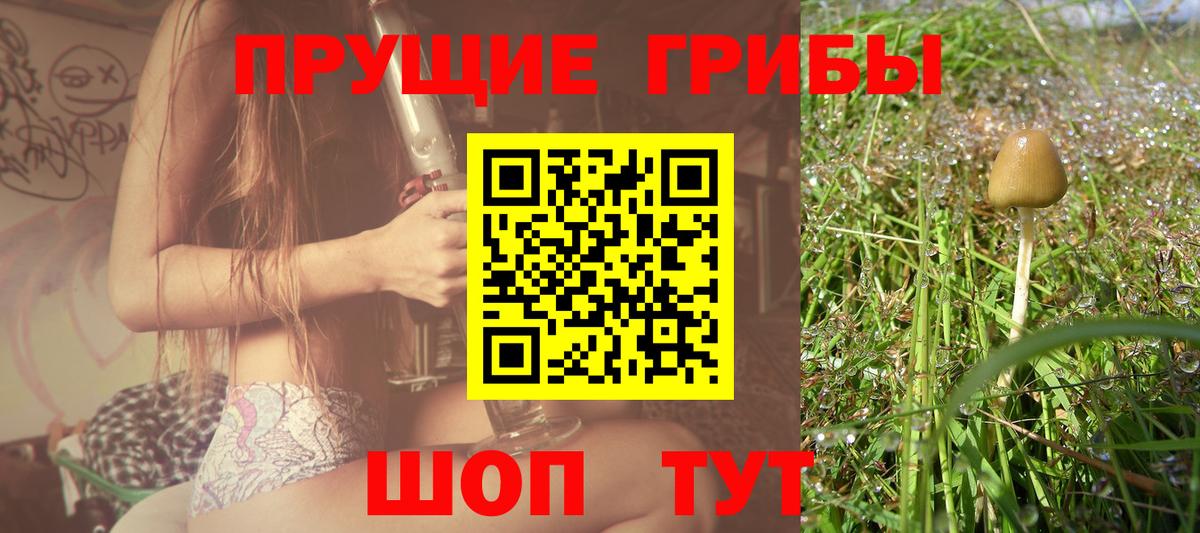 Красноярск  Псилоцибиновые грибы MAGIC MUSHROOMS  Вход с VPN 